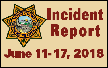 SCSO Incident Report June 11th - 17th